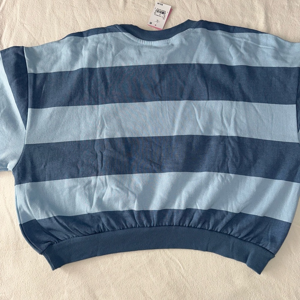 Strawberry Shortcake Blue Striped Cropped Crew Sweatshirt NWT XL Retro 80s Cute - Picture 8 of 8